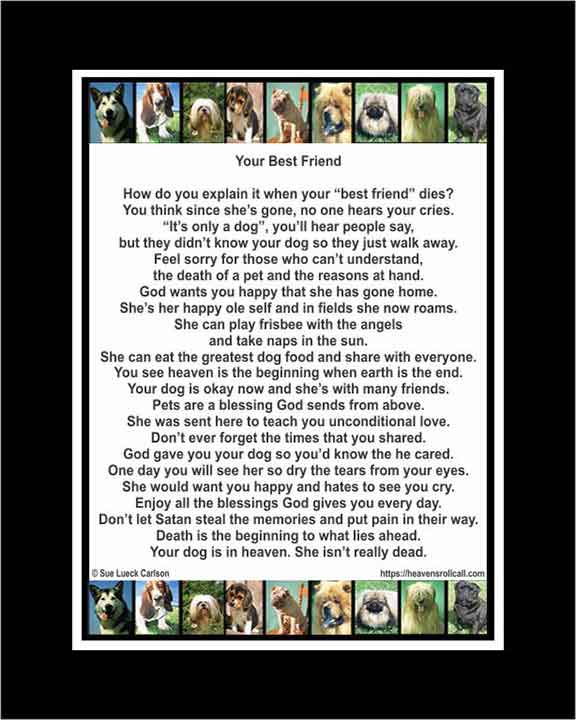 An uplifting poem offering comfort after your pet dies. 