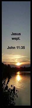 Bible Verse is from John 11:35 and says that Jesus wept so He understands our pain.